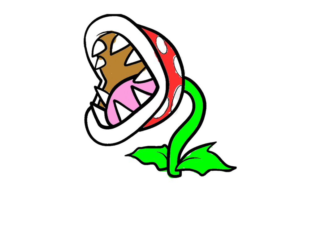 bojanke_1730131018.png