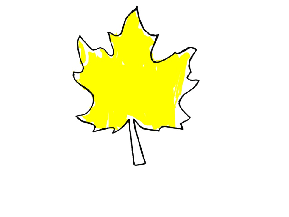 bojanke_1730190547.png