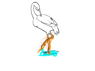 bojanke_1730398718.png