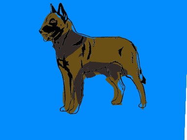 bojanke_1730481328.png