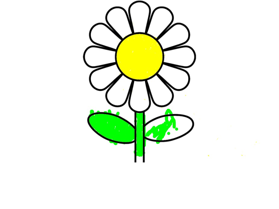 bojanke_1730488264.png
