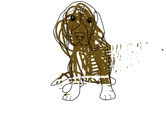 bojanke_1730882224.png