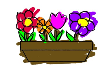 bojanke_1731072887.png