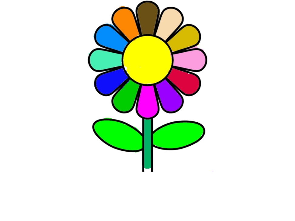 bojanke_1731077293.png