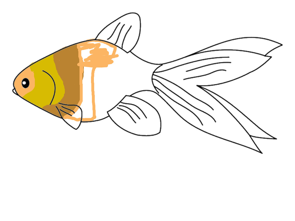 bojanke_1731334668.png
