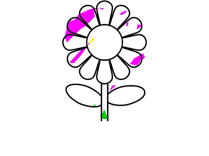 bojanke_1731343839.png