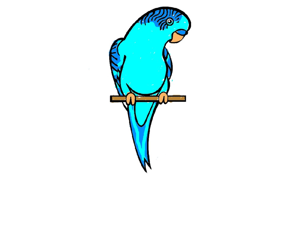 bojanke_1732017496.png
