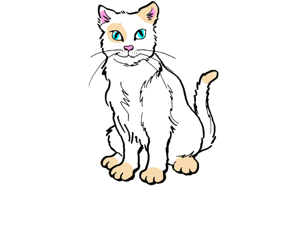 bojanke_1732289667.png