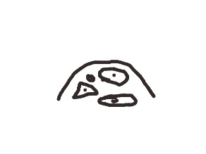 bojanke_1732380918.png