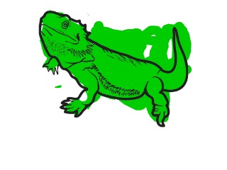 bojanke_1732808922.png