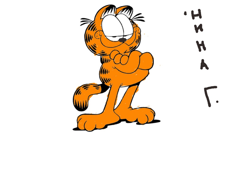 bojanke_1733215684.png