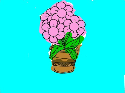 bojanke_1733253533.png