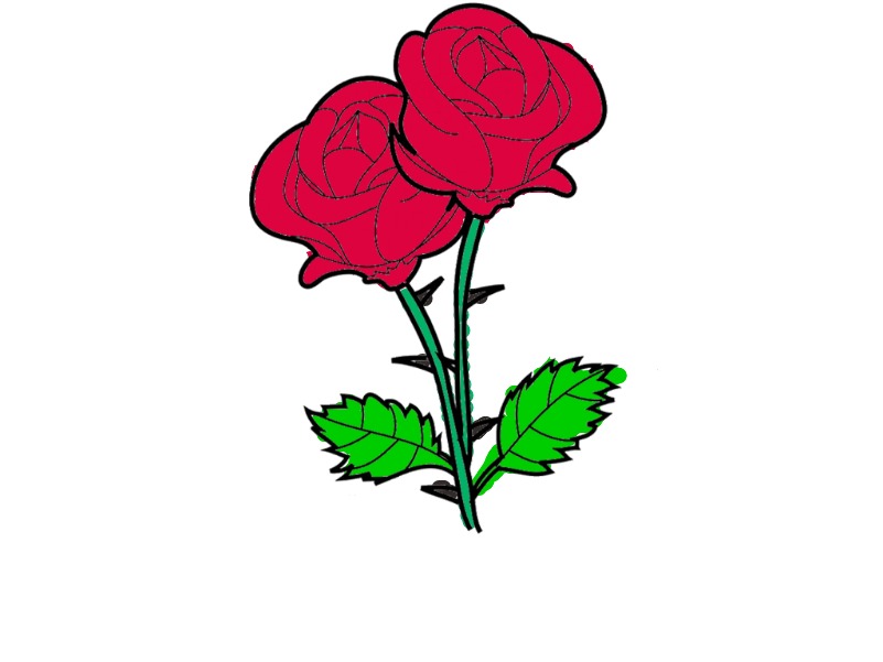bojanke_1733604420.png