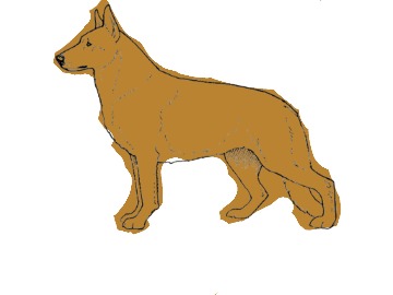 bojanke_1733662362.png
