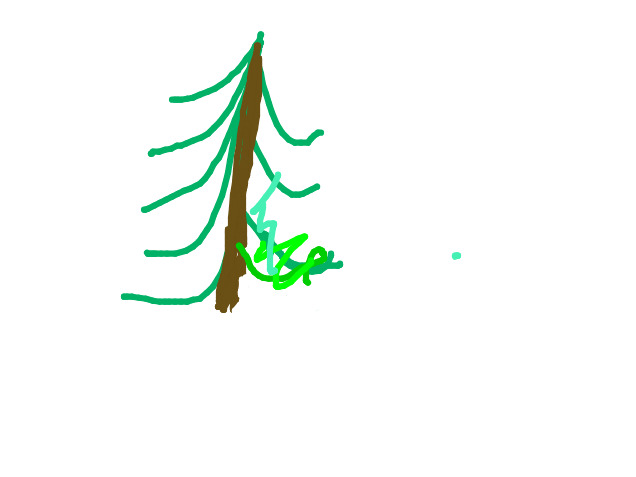 bojanke_1734125424.png