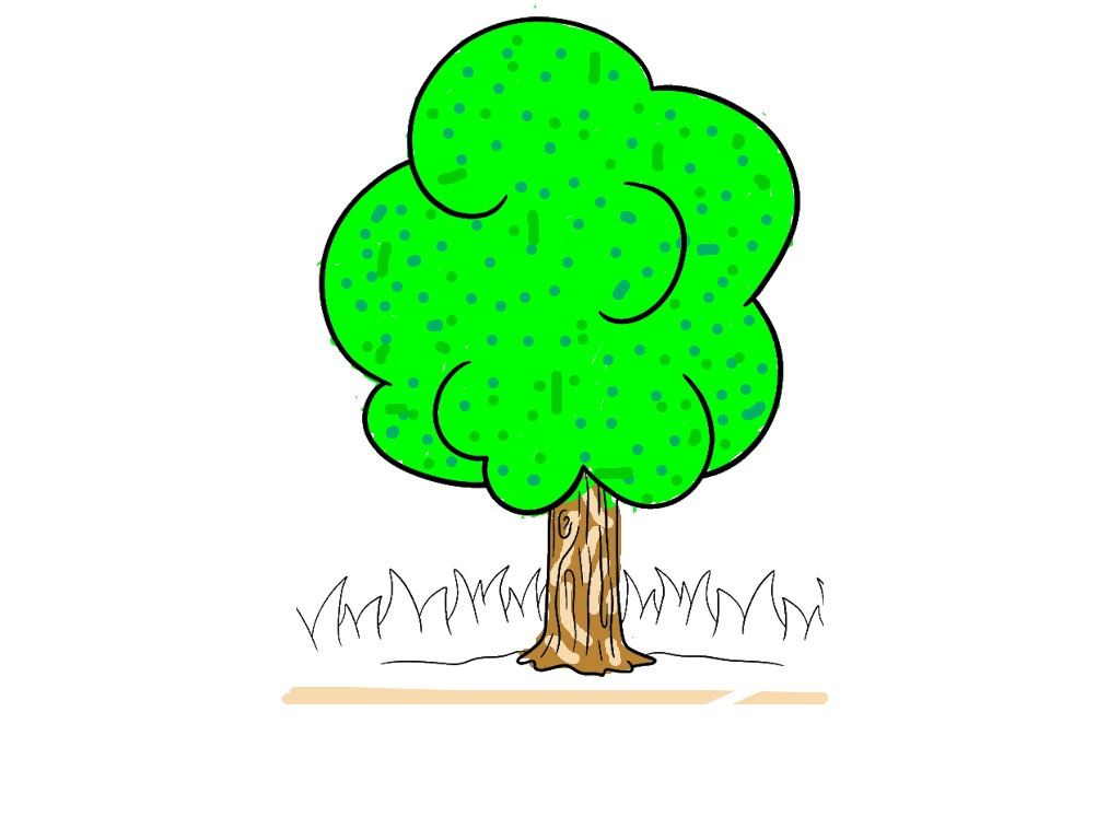 bojanke_1734174964.png
