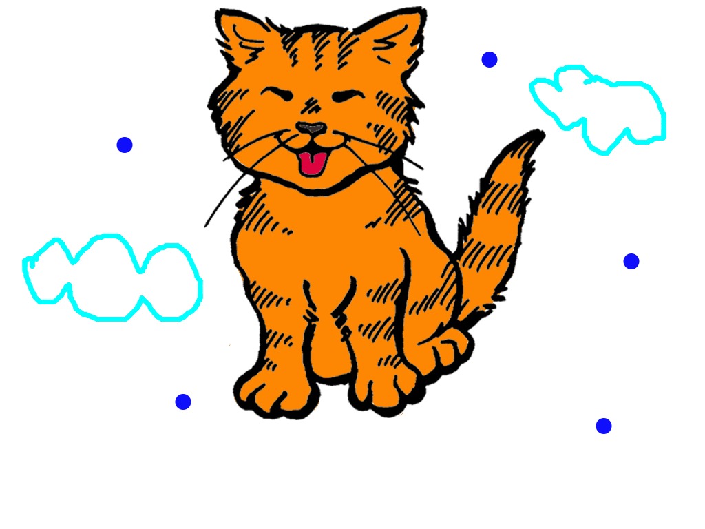 bojanke_1734182136.png