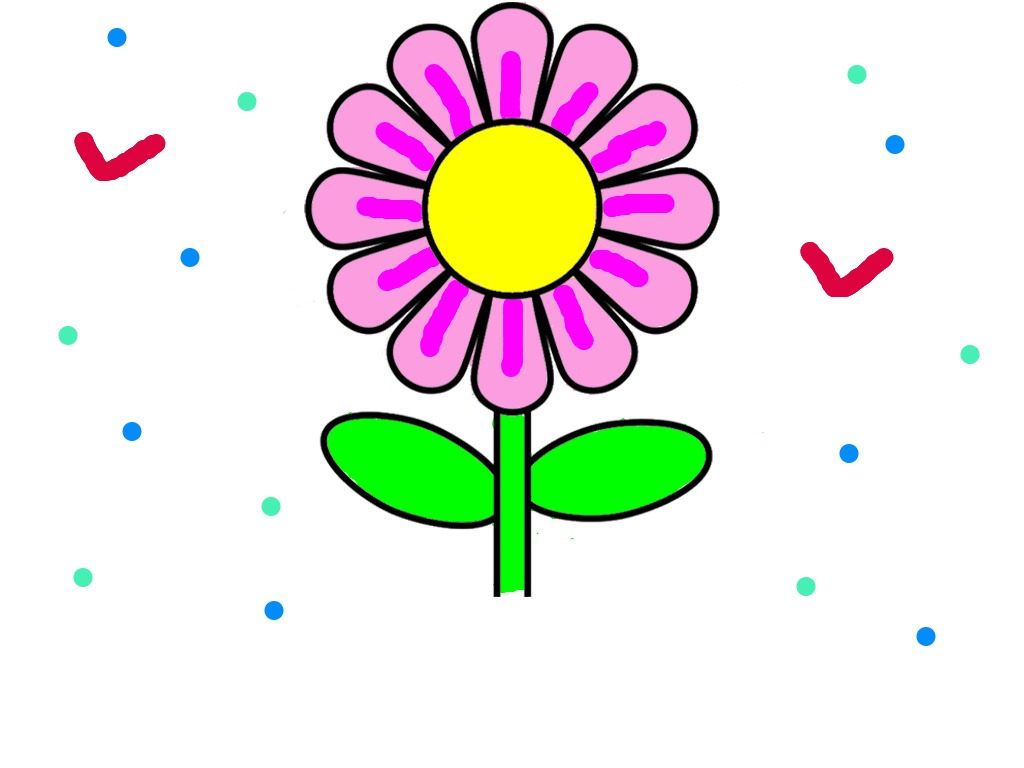 bojanke_1734184199.png