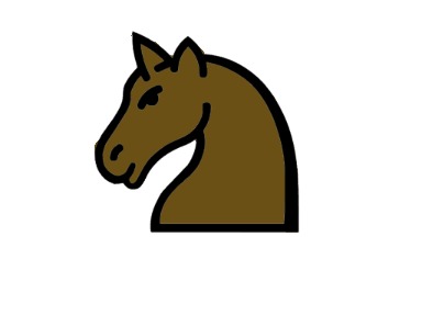 bojanke_1734282952.png
