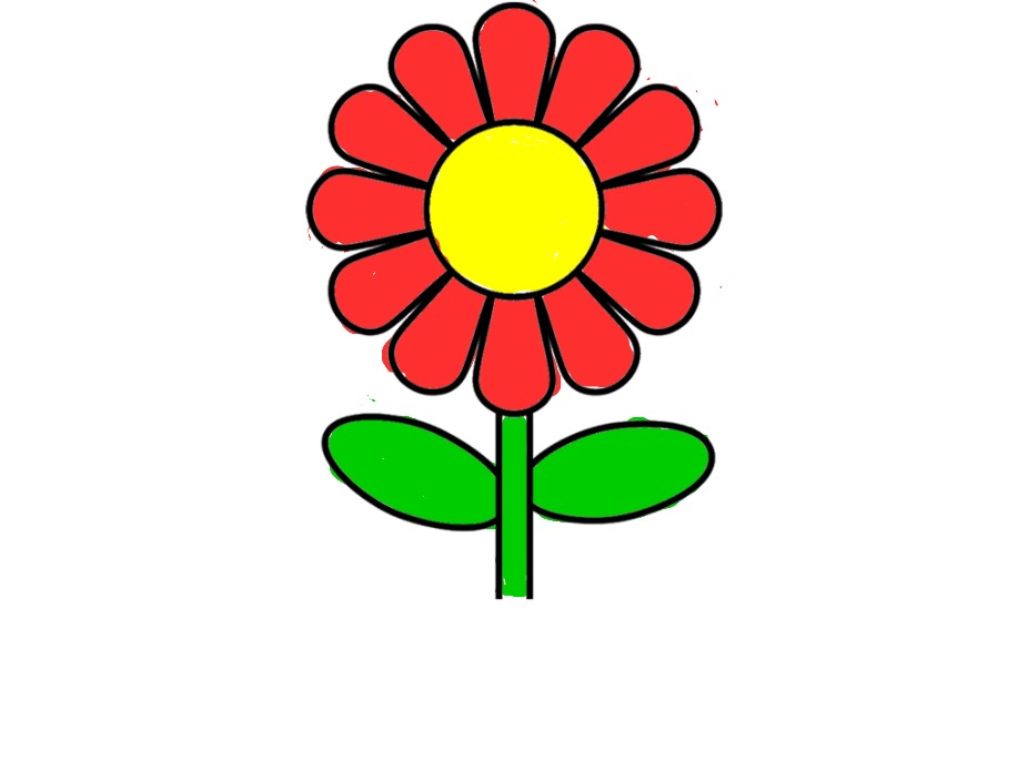 bojanke_1734799065.png