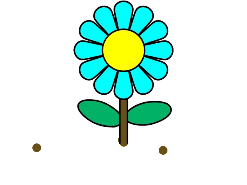 bojanke_1734807627.png