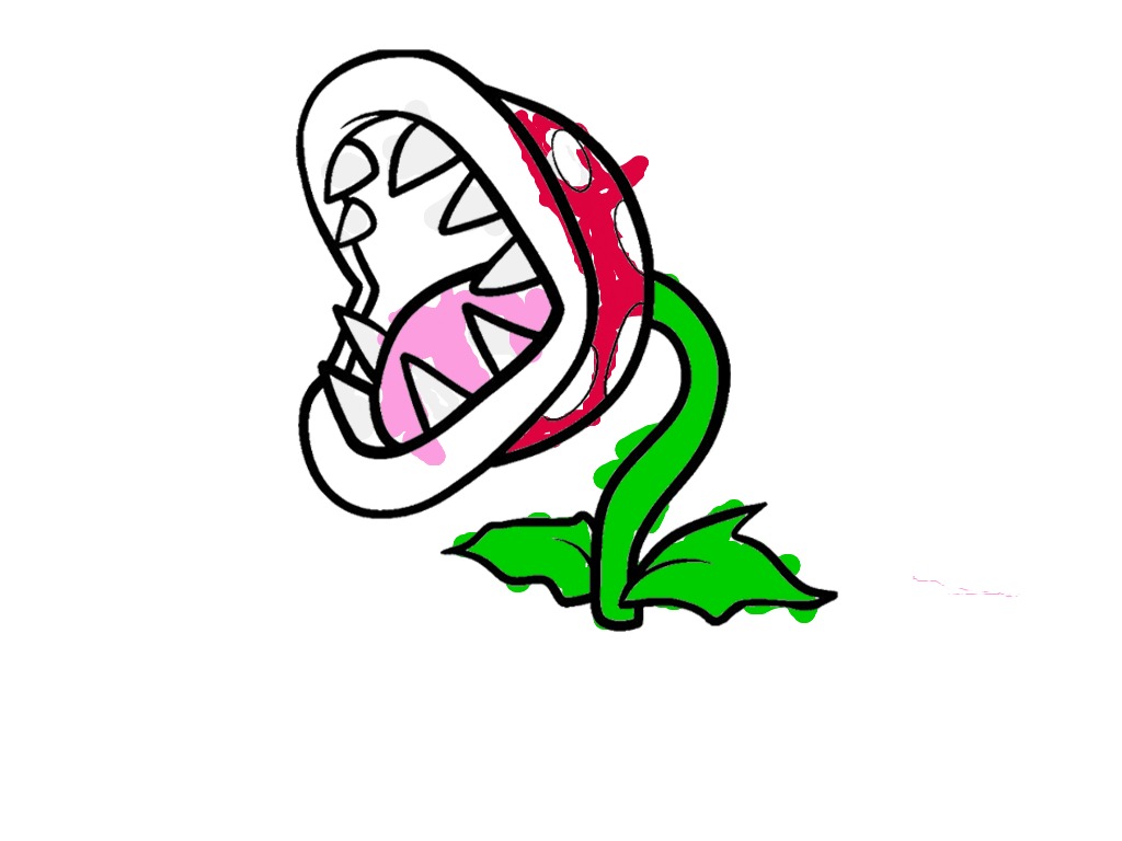 bojanke_1734897610.png
