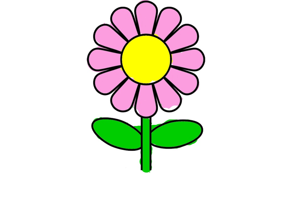 bojanke_1734937798.png