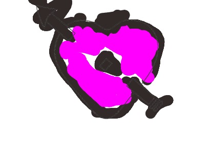 bojanke_1734965579.png