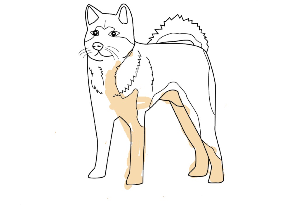 bojanke_1735114091.png