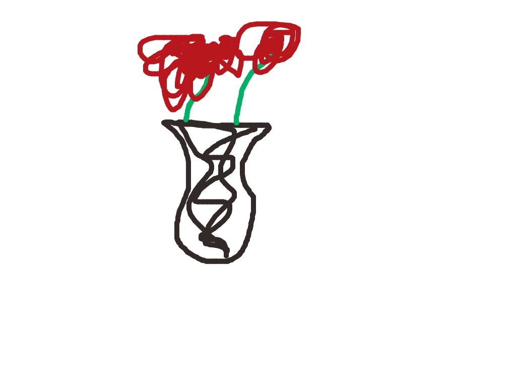 bojanke_1735139236.png