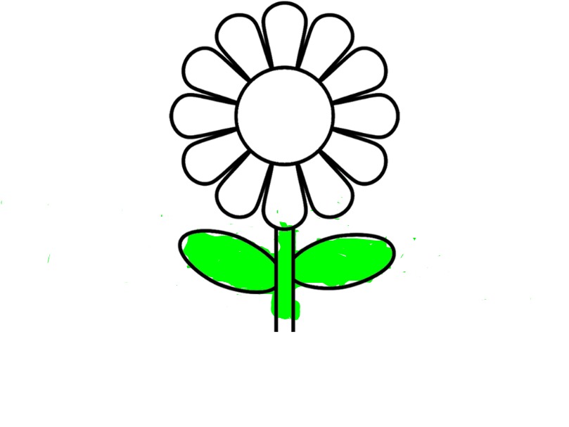 bojanke_1735418847.png