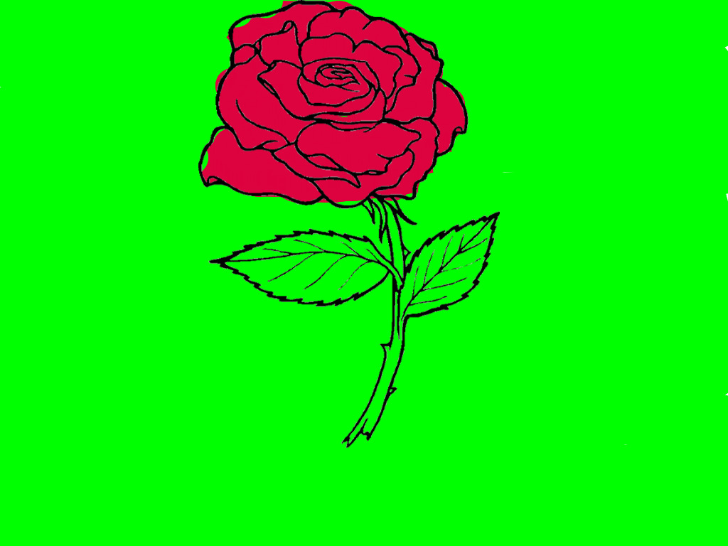 bojanke_1735486077.png