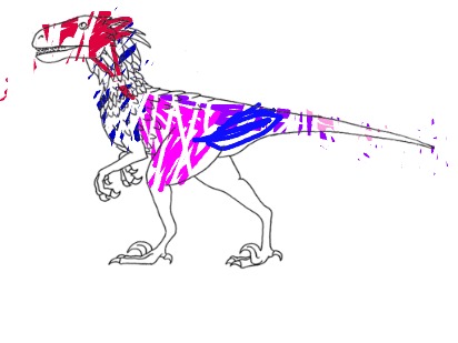 bojanke_1735505786.png