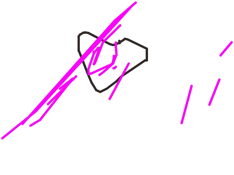 bojanke_1735759493.png