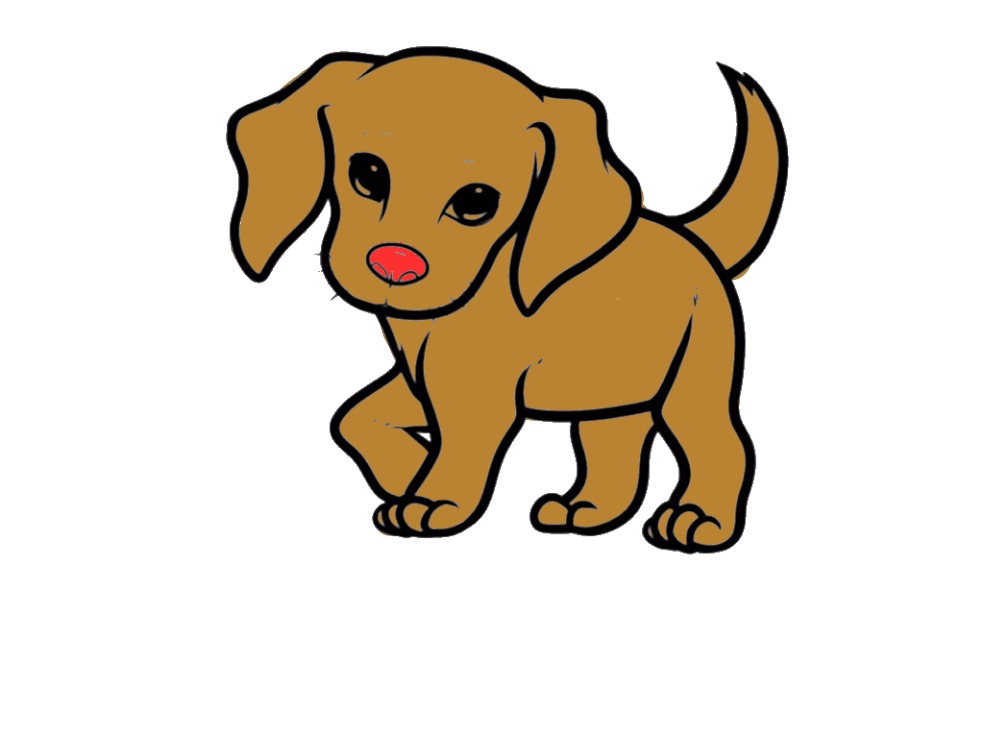 bojanke_1735837768.png