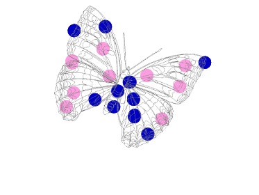 bojanke_1735905801.png