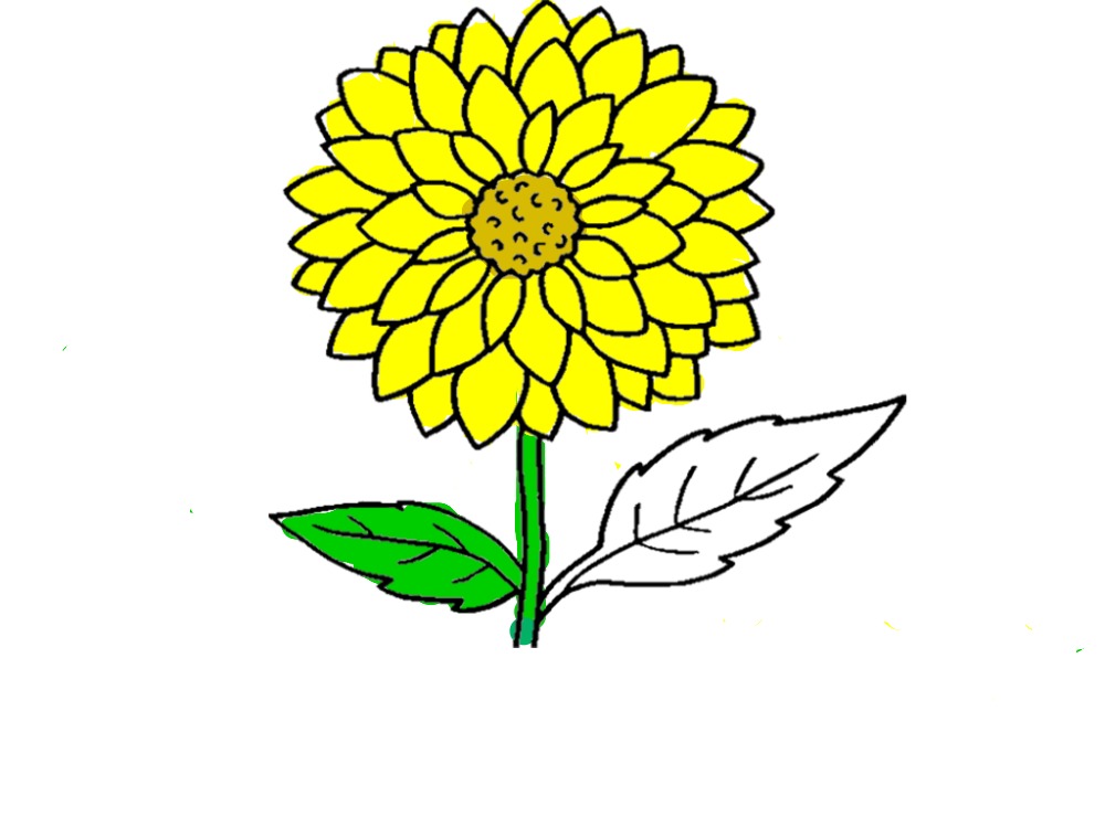 bojanke_1736010659.png