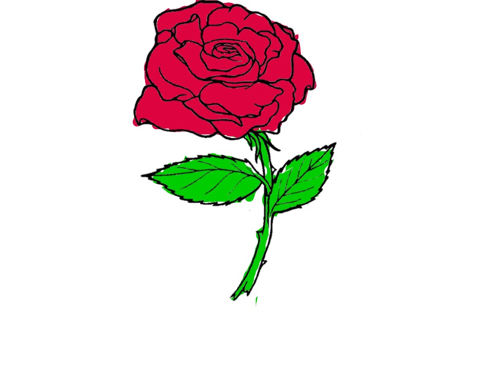 bojanke_1736012075.png
