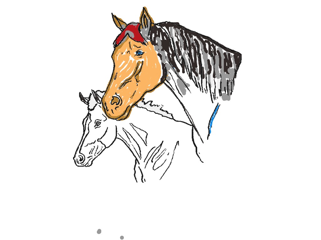 bojanke_1736101181.png