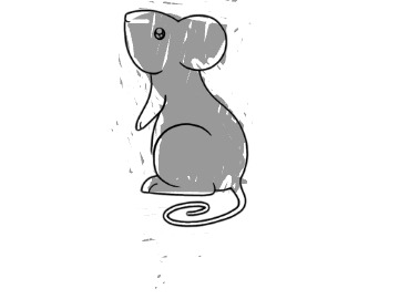 bojanke_1736164734.png
