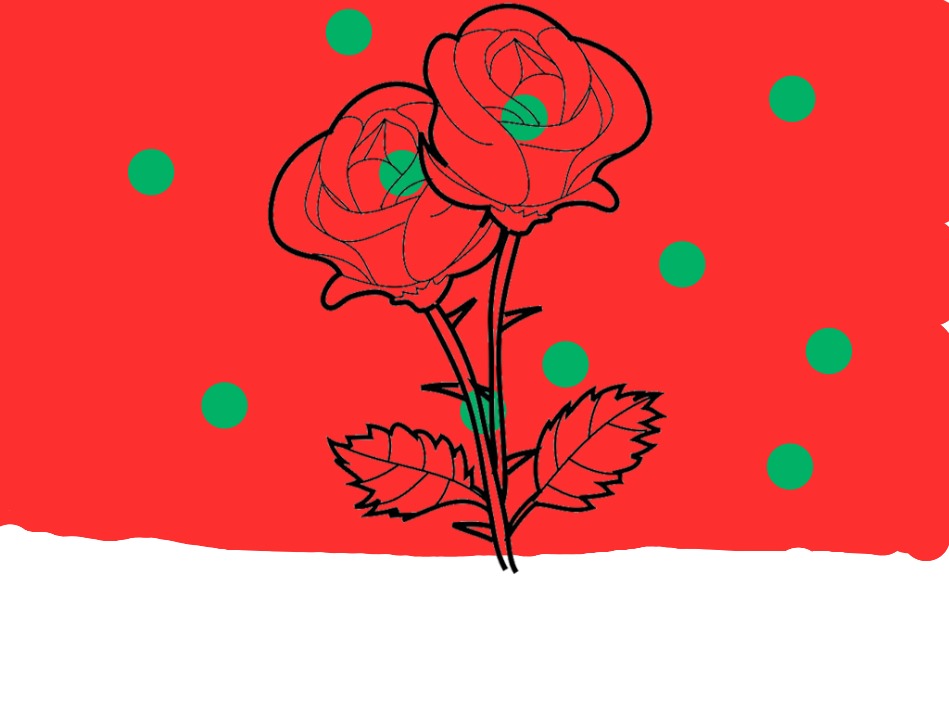 bojanke_1736408794.png