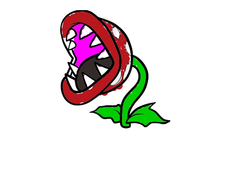 bojanke_1736610399.png