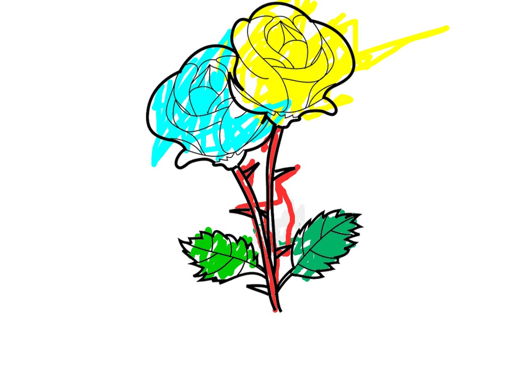 bojanke_1736688194.png