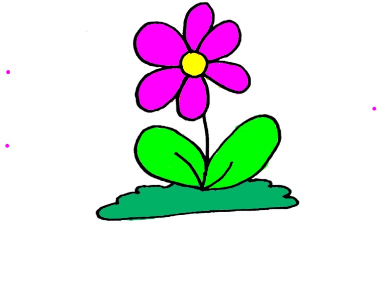 bojanke_1736705264.png