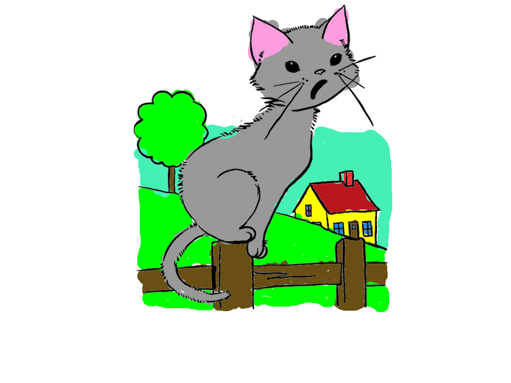 bojanke_1736767886.png