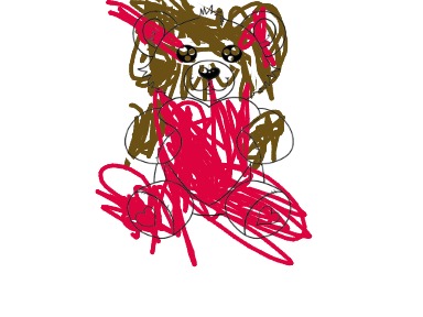 bojanke_1736789877.png