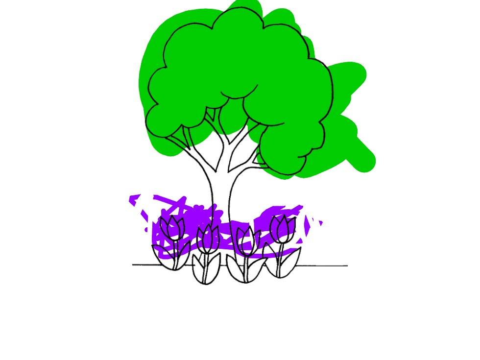 bojanke_1736835169.png