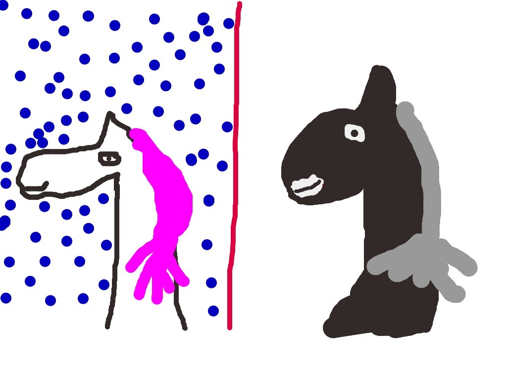 bojanke_1737030027.png