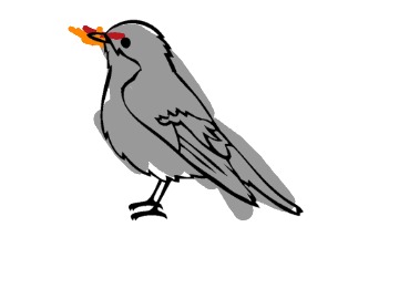 bojanke_1737041348.png