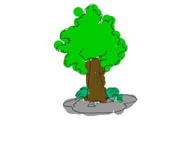 bojanke_1737466412.png